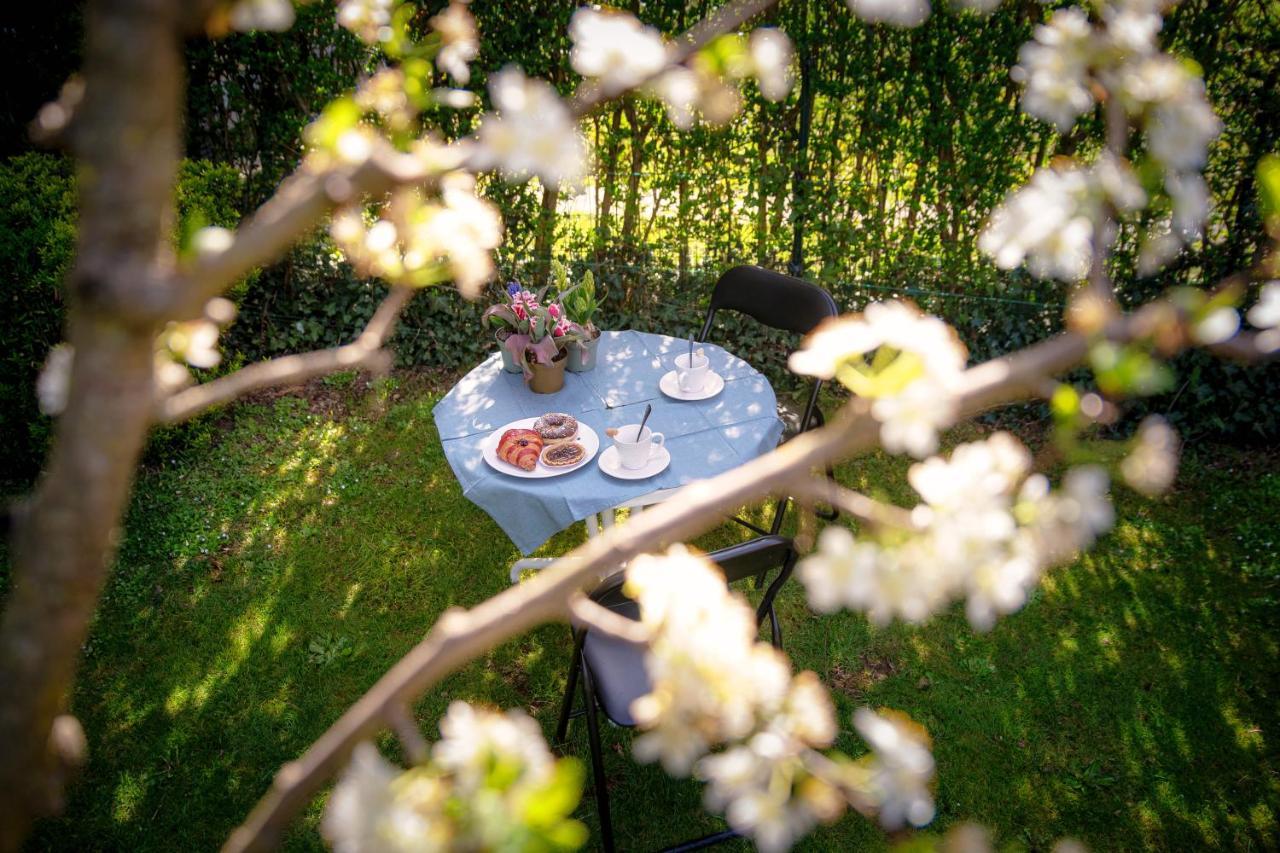 My Sweet Garden - By Myhomeincomo Cassina Rizzardi 外观 照片
